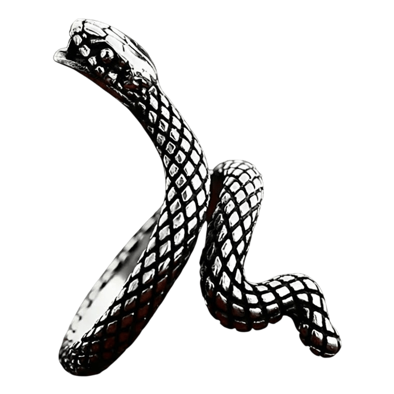Bague viking en acier inoxydable en forme de serpent Jörmungandr s'enroulant autour du doigt avec écailles détaillées.
