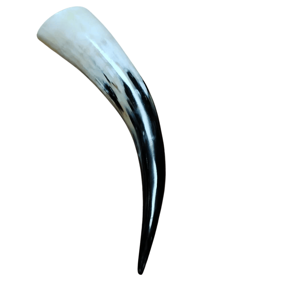 Corne a boire viking authentique en yak naturel noir poli - Le Comptoir Viking