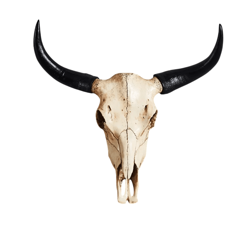 Tete de taureau viking murale resine bois de cerf decoration nordique rustique - Le Comptoir Viking