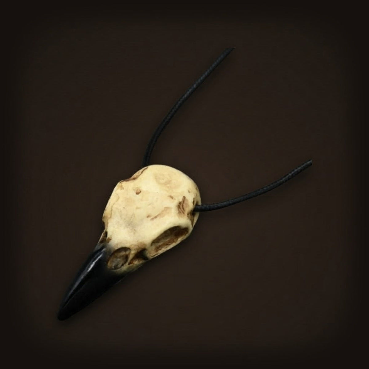 Collier viking, crâne de corbeau en résine imitation os teinté ivoire, bec noir, sur cordon de cuir
