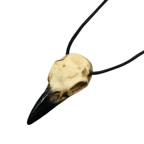 Collier viking, crâne de corbeau en résine imitation os teinté ivoire, bec noir, sur cordon de cuir