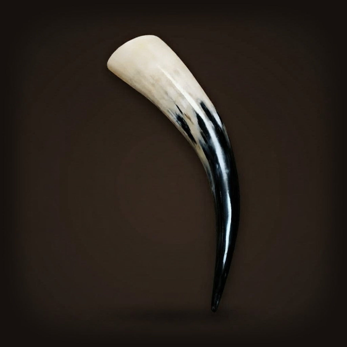 Corne à boire viking authentique en corne de yak naturelle, de l'ivoire au noir poli